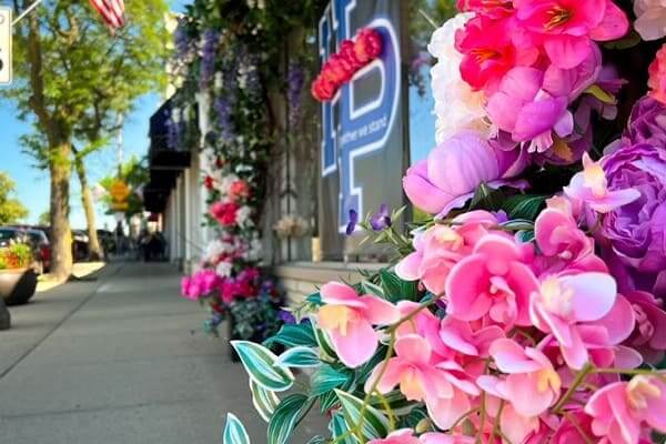 flowers on side of building